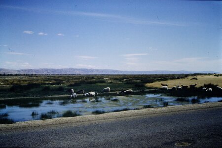 Rando Tunisie 1987, 0070_1987-04-01