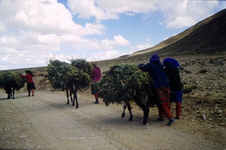 Rando Tunisie 1987, 0051_1987-03-99