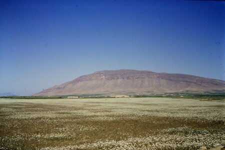 Rando Tunisie 1987, 0032_1987-03-99